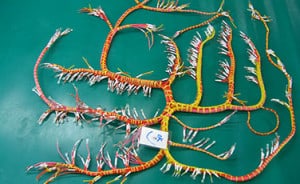 Custom Cable Cable Assembly Manufacturer. Large volume custom cable assembly manufacturer