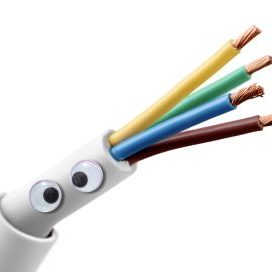 carson wire